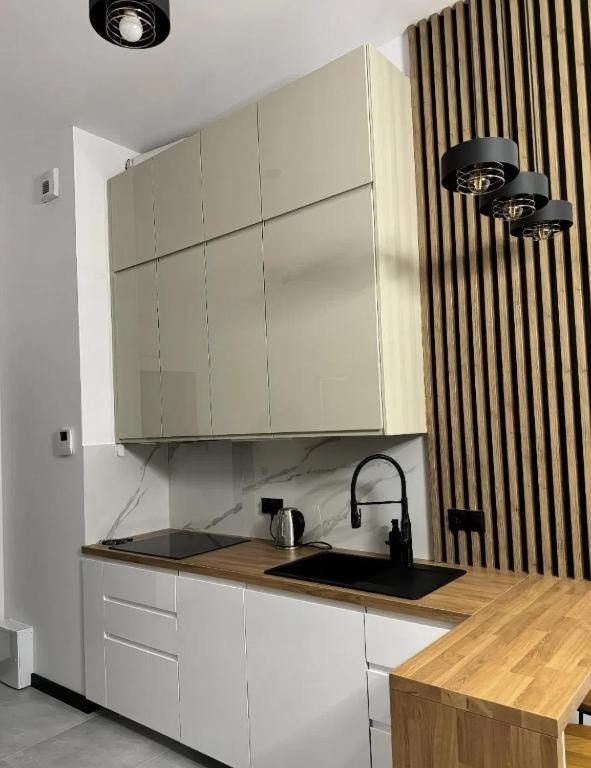 Rentpoland Wiktoryn Studio Apartment Warsaw Exterior photo